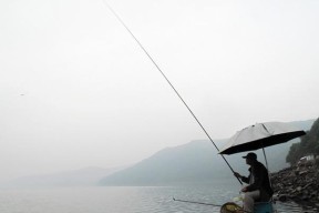 夏钓草时如何运用钓鱼小技巧提高渔获？