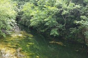 山谷水沟钓鱼技巧（掌握正确技巧）
