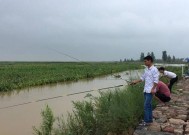 大坝泄洪口钓鱼技巧和方法是什么？如何安全有效地钓鱼？
