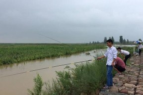 大坝泄洪口钓鱼技巧和方法是什么？如何安全有效地钓鱼？