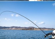 钓鱼新人如何掌握甩竿技巧？甩竿技巧有哪些常见问题？