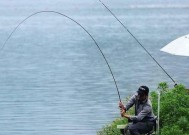 核桃仁钓鱼技巧与方法有哪些？如何提高钓鱼成功率？