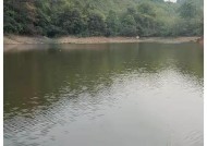 河南霜降钓鱼技巧有哪些？如何提高钓鱼成功率？