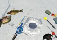 漂浮水面钓鱼技巧与方法（提高钓鱼成功率的实用技巧及注意事项）