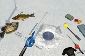 漂浮水面钓鱼技巧与方法（提高钓鱼成功率的实用技巧及注意事项）