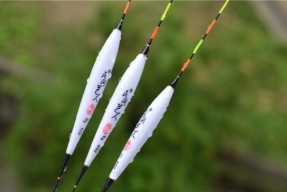 浮漂钓鲢鳙调漂技巧是什么？如何正确调整浮漂钓鲢鳙？