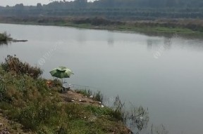 钓鱼水位上涨的技巧（应对水位上涨，提高钓鱼成功率）