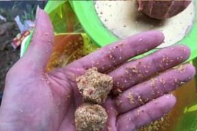 玉米钓饵钓鱼技巧与方法（掌握钓鱼技巧）