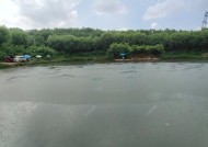 肥水湖钓鱼技巧有哪些？如何提高钓鱼成功率？