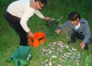 黑坑冬季钓鱼必杀技有哪些？如何提高冬季钓鱼成功率？