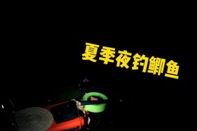 雨天夜钓鲫鱼的技巧与方法（探秘夜晚雨天下的钓鲫鱼之道）