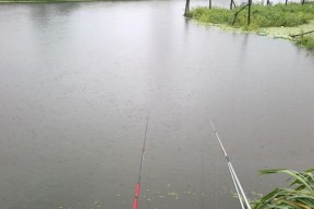 镇海水库钓鱼技巧大揭秘（深入解析镇海水库钓鱼技巧）