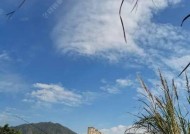 河流走水快野钓打窝技巧是什么？如何有效提高钓鱼成功率？
