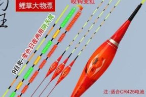 倒钓钩加浮漂技巧教程？如何有效提升钓鱼效率？