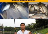 抽竿钓鱼技巧教程？如何快速掌握钓鱼技巧？