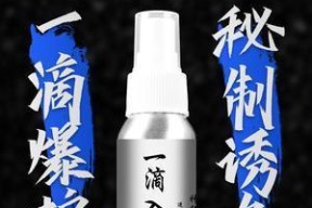 冬季钓鱼小药搭配技巧（提高冬季钓鱼效果的关键诀窍）
