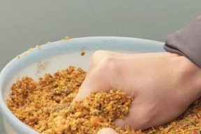 春季钓鱼发窝技巧教程？如何快速找到鱼群聚集地？