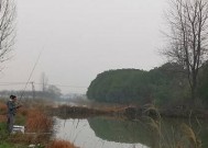 赣江钓鱼技巧有哪些？如何提高赣江钓鱼的成功率？