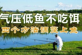 河流大风钓鱼的技巧和方法（顺风顺水钓鱼得心应手）