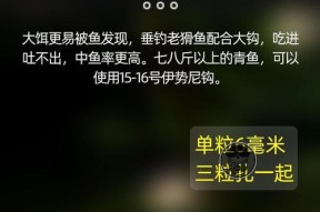 冬季皮筋颗粒钓鱼技巧有哪些？如何提高冬季钓鱼成功率？