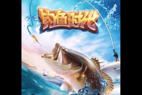 钓鱼新手技巧：什么时候拉钩最有效？