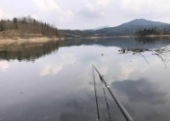 河里水草多钓鱼技巧是什么？如何应对水草多的钓鱼环境？