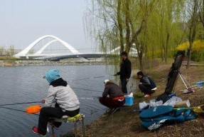 寒冬季节黑坑钓鱼技巧和方法是什么？如何提高钓鱼成功率？