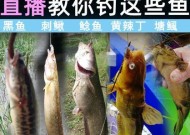 黄刺钓鱼技巧教程（掌握黄刺钓鱼的诀窍和技巧）