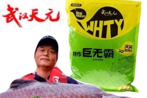 垂钓技巧与饵料配制（提升钓鱼成功率的关键技巧与饵料制作方法）