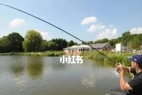 夏天钓鱼有什么技巧和方法？如何提高夏季钓鱼的成功率？