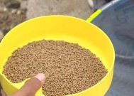 夏季钓鱼饵料调制技巧（提升成功率的关键是什么）