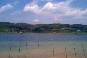 回流湾钓鱼技巧教学（掌握钓鱼技巧）