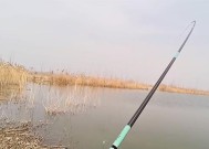 初学者如何找到鱼窝（钓鱼技巧分享与经验总结）