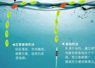 冬季钓鱼调漂技巧（解密冬季钓鱼中的调漂技巧，提高钓鱼成功率）