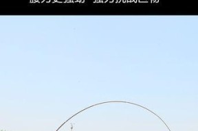中通竿钓鱼技巧与使用方法（技巧详解）