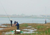 初冬垂钓鲫鱼技巧是什么？如何提高钓鲫鱼的成功率？