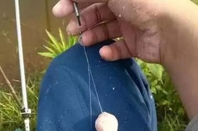 大蒜钓鱼的5个技巧（提升垂钓成功率的关键）