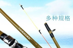 冬天筏竿钓鱼技巧有哪些？如何提高冬季筏钓成功率？