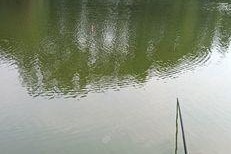 垂钓技巧水深多少合适？如何根据水深选择合适的垂钓方法？