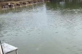 黑坑布窝钓鱼技巧有哪些？如何提高钓鱼成功率？