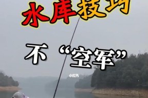 干旱土地钓鱼技巧有哪些？如何在干旱地区成功钓到鱼？