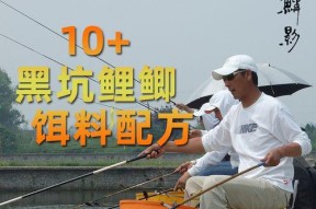 春夏钓鱼调饵技巧有哪些？如何根据季节变化调整饵料？