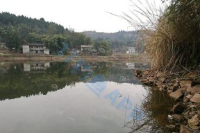 秋季堰塘钓鱼技巧（享受秋天的丰盛收获）