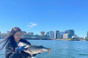 波士顿钓鱼技巧有哪些？如何提高在波士顿钓鱼的成功率？
