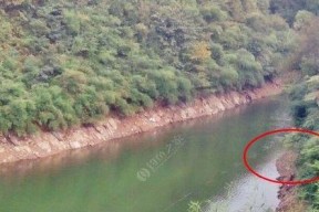 冬天阴天水库钓鱼技巧（探秘冬天阴天钓鱼的窍门）
