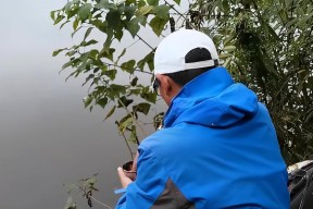 如何提高钓鱼技巧？生活中有哪些实用的钓鱼小方法？