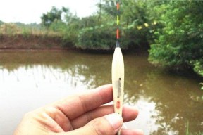 钓鱼用饵调漂技巧有哪些？如何根据鱼情调整漂相？