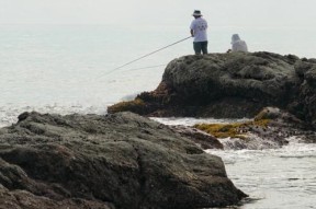 海上快速钓鱼技巧与方法（提高效率的关键技巧与实用经验）