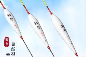 如何选择适合户外钓鱼的浮漂