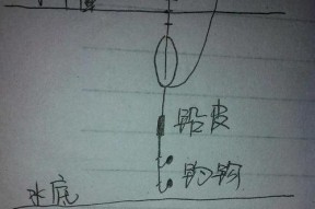 冬天钓鱼精准调漂技巧（提升钓鱼技巧，享受冬日钓鱼乐趣）